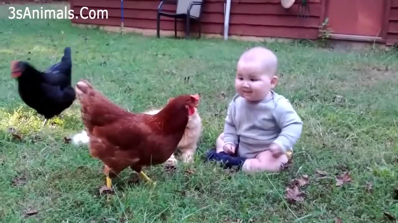 The cutest kid playing with animals