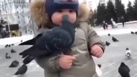 Pigeon and Baby