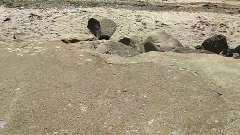 Promenad vid Strandpromenaden i Helsingborg 23 Maj 2018