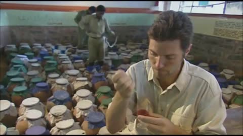 How Blood Reacts To Snake Venom