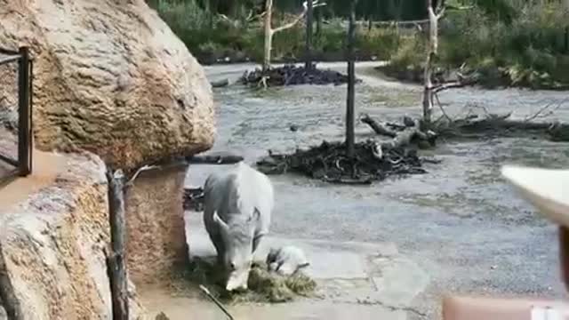 Zoo Zürich