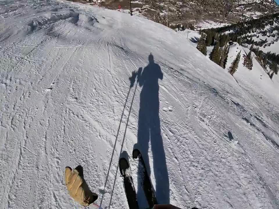 Wildcat (Kitty) Alta Utah. Top to Bottom (1)