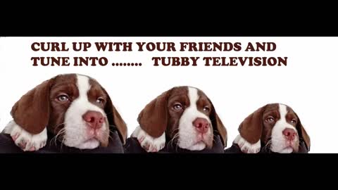 TUBBY TV - TUBBY VERSUS PIG