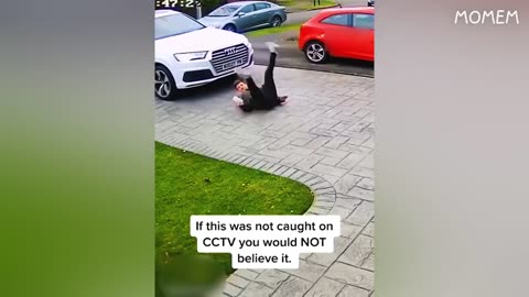 Funny video you laugh, you restart 2024