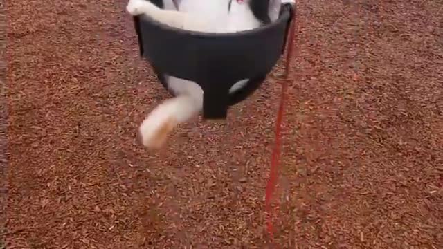 "Swinging into the weekend"