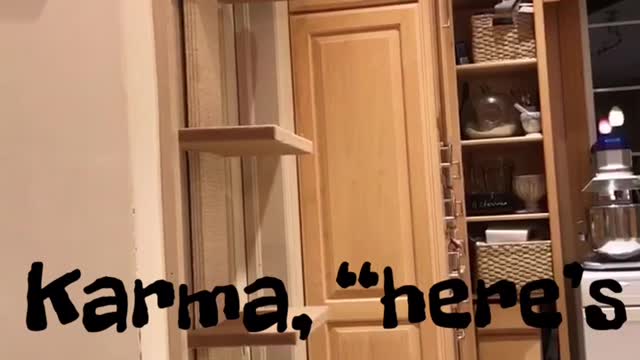 Mac Versus Door Shelves