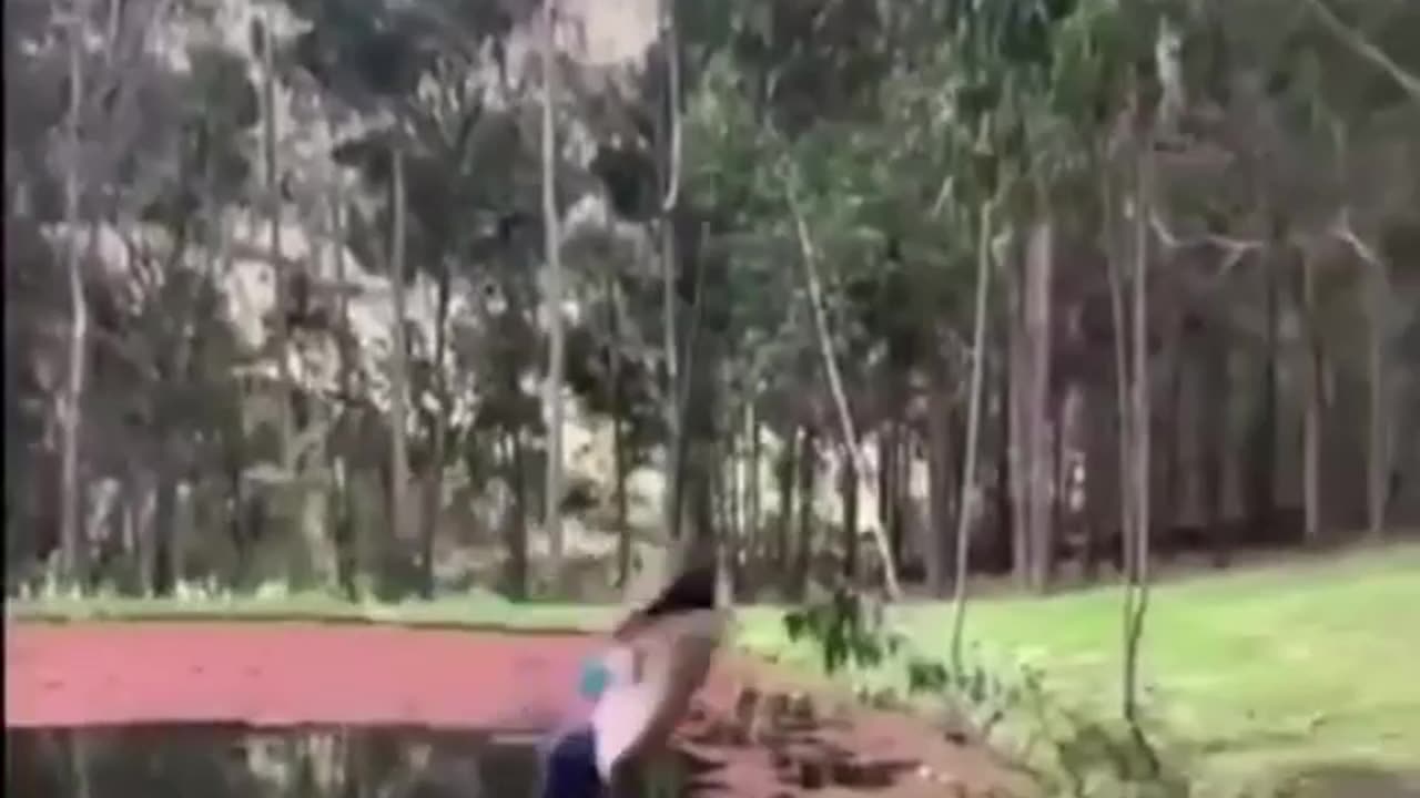 TRY NOT TO LAUGH 😆 Best Funny Videos Compilation 😂😁😆 Memes