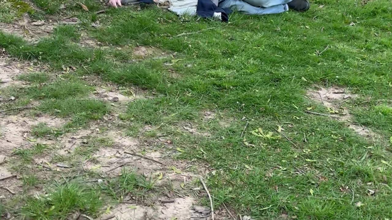 Homeless at the park
