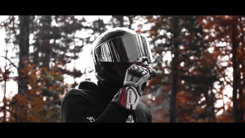 THE RED WOODS | Ducati Panigale V4s (feat. MOTORBIKEMEDIA)