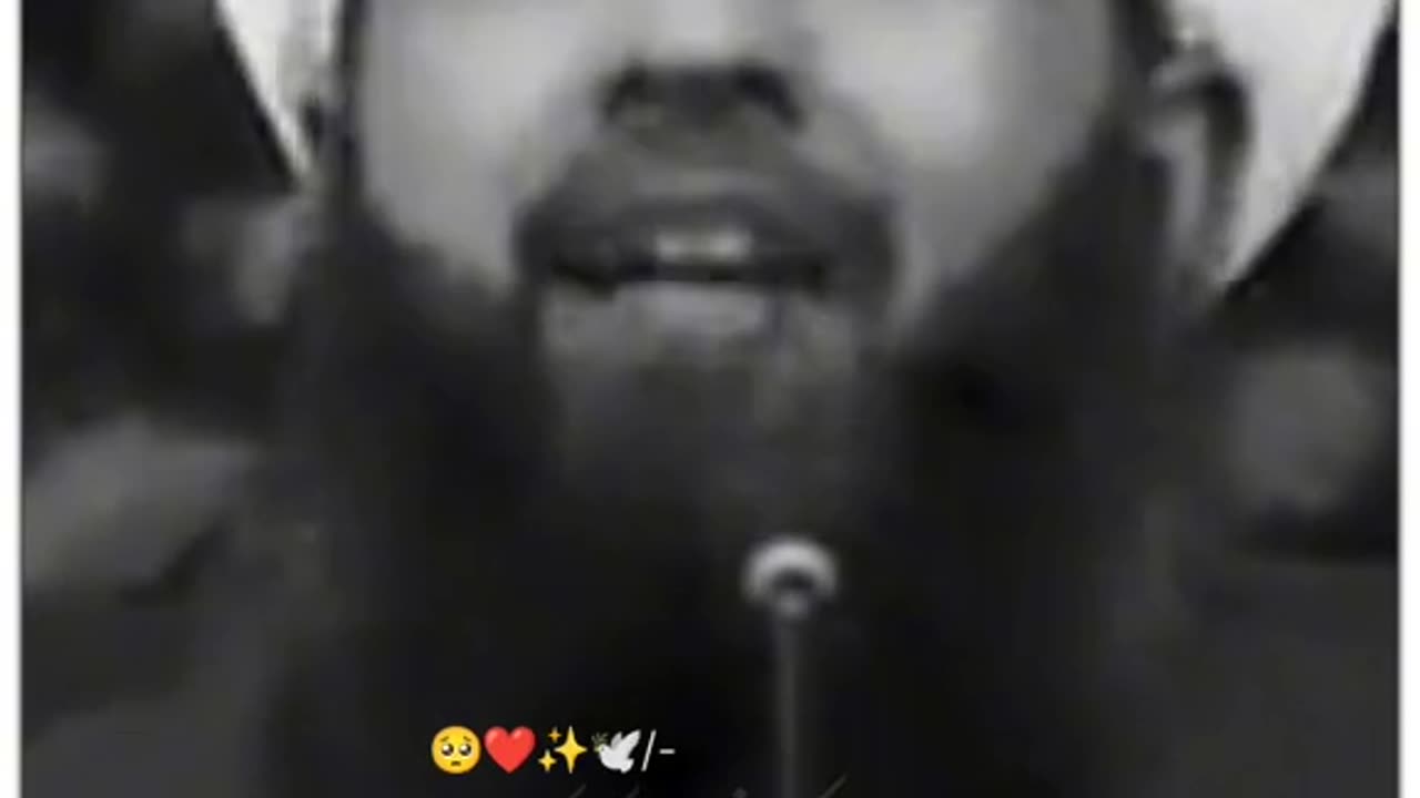 Ali Moula Status
