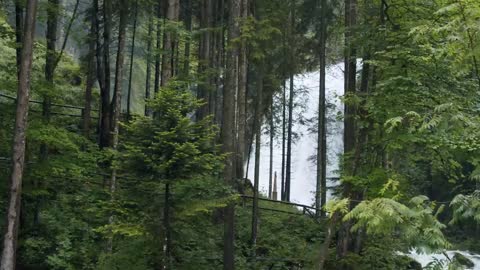 Relaxing Ambience 😌 Beautiful Harp Music to Relax 😌 Calm Harp Instrumental