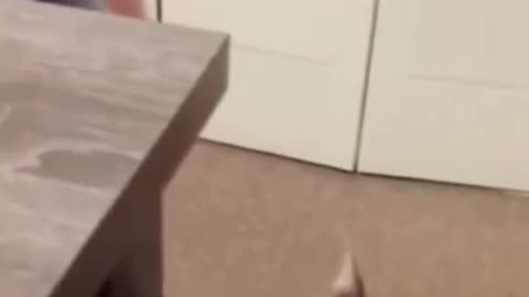 😂 The Funniest Fails and Bloopers (Try Not to Laugh Challenge) 🤣 part-28