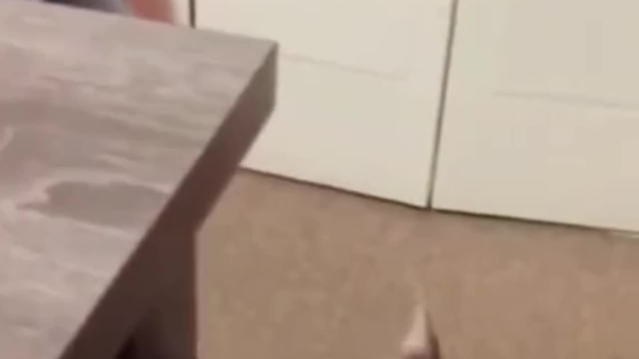 😂 The Funniest Fails and Bloopers (Try Not to Laugh Challenge) 🤣 part-28