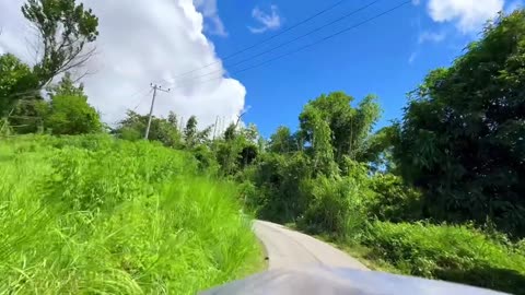 Nature view of Bangladesh