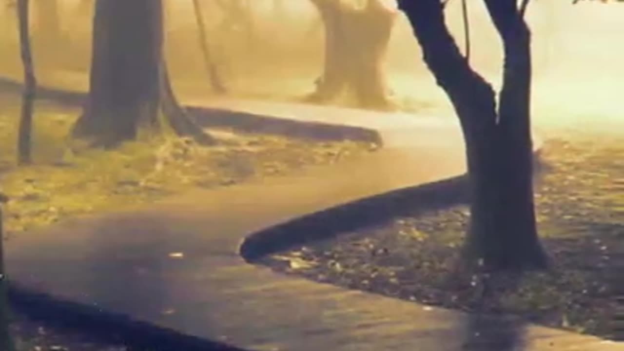 Dil mera chahe