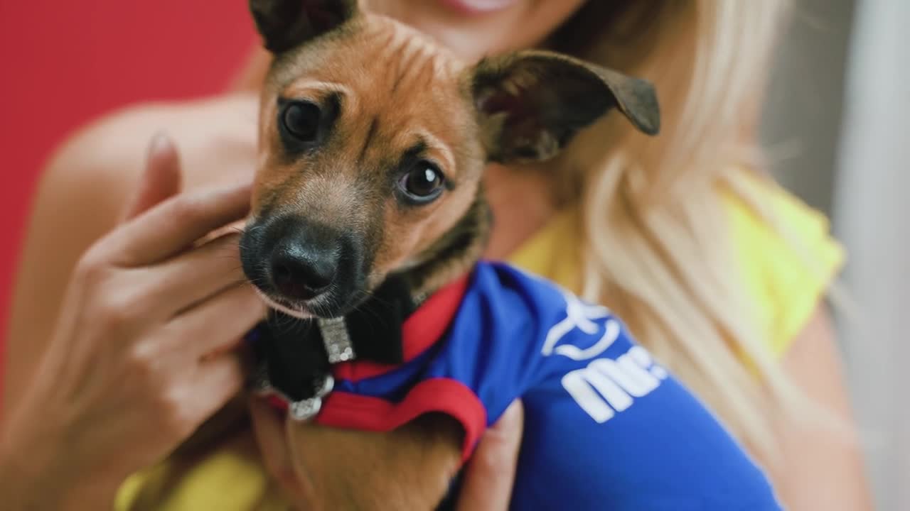 Amazing Dogs and Babies