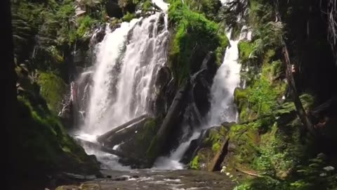 Beauty of Nature