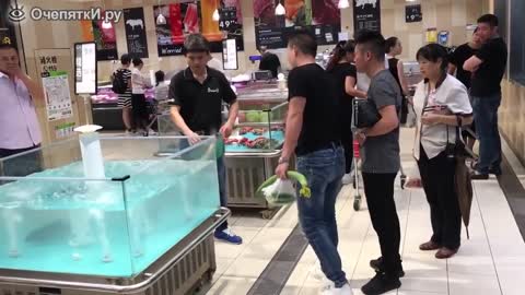 Dexterous fish flight