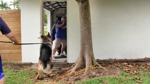 How To Make Your Dog Become Fully Aggressive with a few tips..