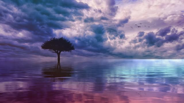 Relaxing Zen Music for stress Relief 6 hour