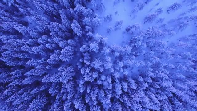 Relaxing Music | Sleeping, Meditation, Stress Relief | [4313] ⭐️