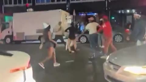Police In Middle Of Cat Fight