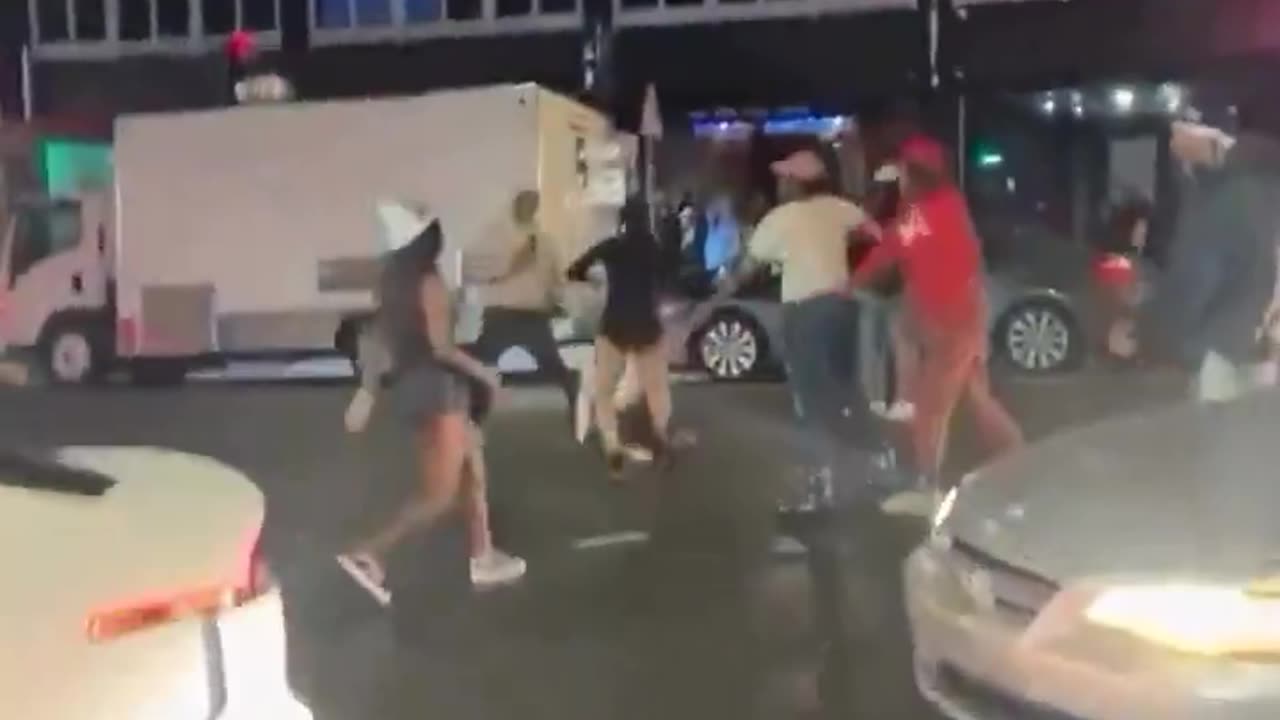 Police In Middle Of Cat Fight