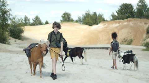 Rare Horses