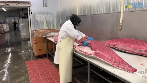 Fast Extreme Skill Cutting Giant Fish. **it's very impressive**