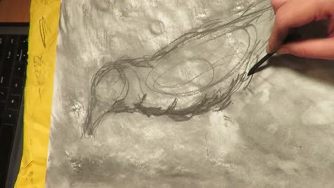 Charcoal Drawing: Jim Dine's Raven, Part 2
