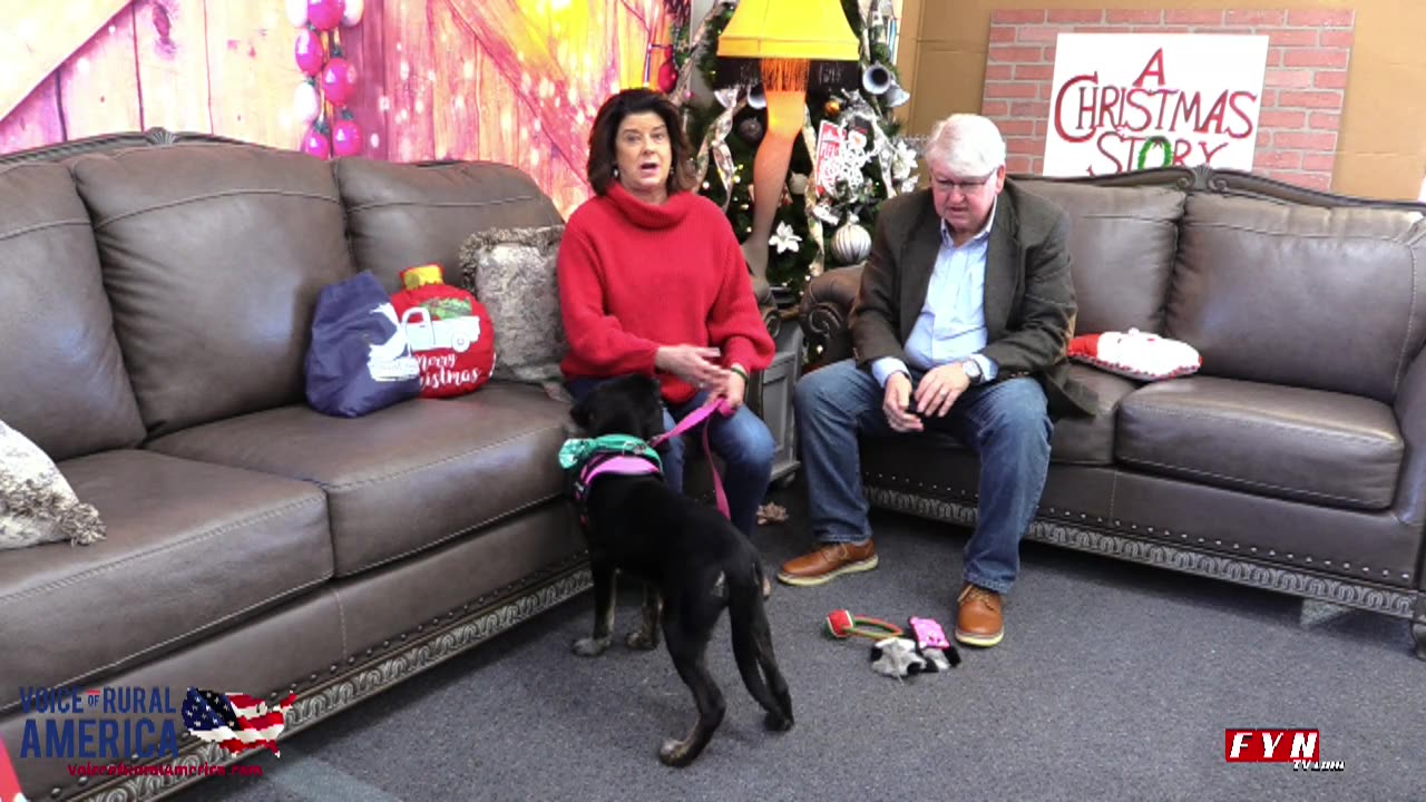 Pet of the Week - www.HumaneSocietyofBlueRidge.org