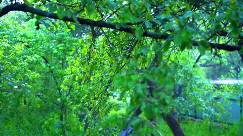 relaxing music with a rain sound