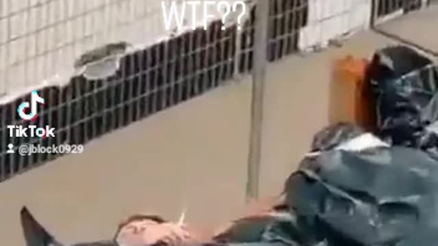 I Guess You Can Smoke While Dead