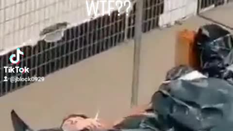 I Guess You Can Smoke While Dead