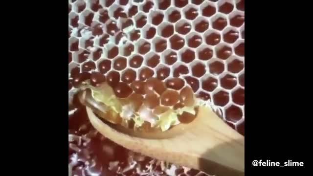 Soothing Satisfying Videos