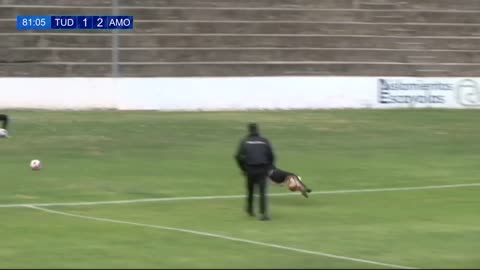 Perrita interrumpe un partido de fútbol arruinando la jugada del equipo visitante