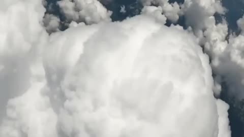 Fly high and feel life