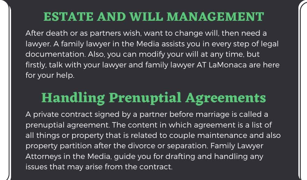 Things a Family Lawyer Can Do in Norristown, PA