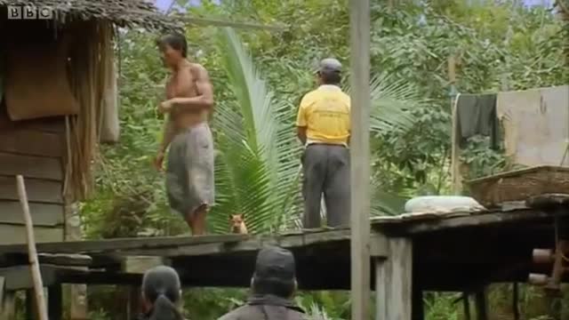 Rescue Mission Part 1 | Orangutan Diary | BBC Earth