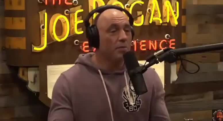 Joe Rogan Says Wokeness Means ‘Straight White Men Are Not Allowed to Talk’