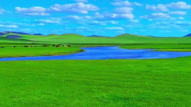 Beautiful prairie with blue sky and white clouds