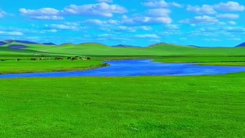 Beautiful prairie with blue sky and white clouds
