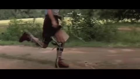 SMH Run Forest Run - You Can't Fix Stupid