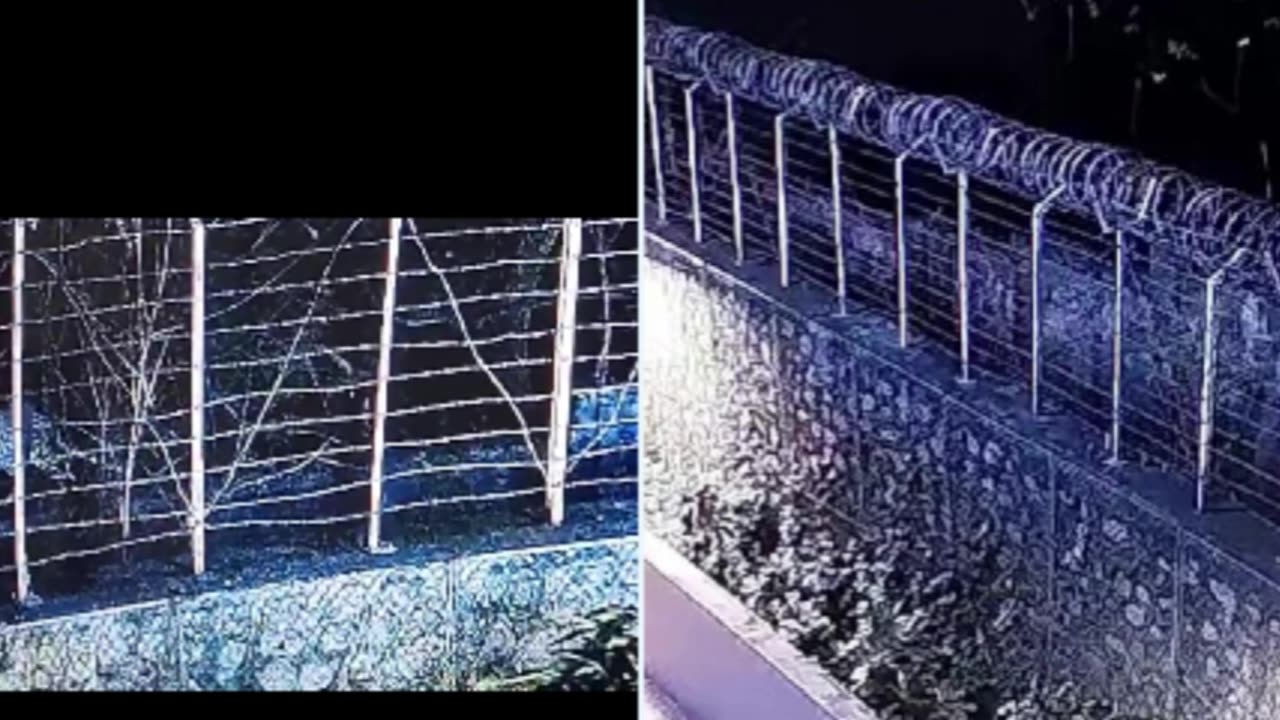 leopard The blood thirsty spread fear and panic in the city, the video went viral