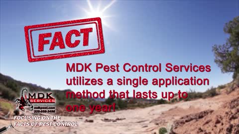 FOCUSING ON THE FACTS OF PEST CONTROL | MDK SERVICES | HD