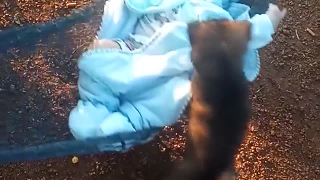 The dog gave a hammock to the super cute little owner