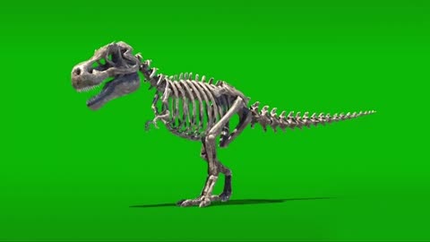 epic level film dinosaur skeleton green screen green cloth scene keying