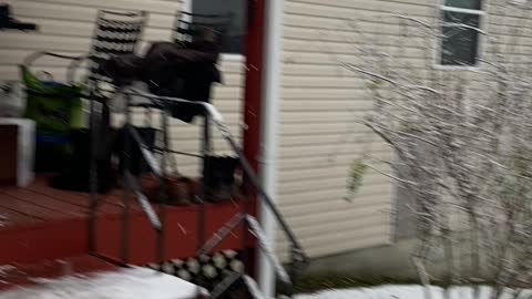 Massive snow ball fun