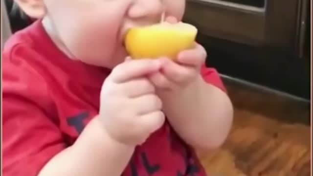 Little Cutie Reaction After Eating Lemon 😍🤗☺️