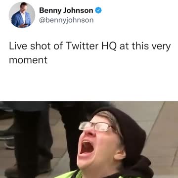 Elon Twitter: Left radical liberals going full mad